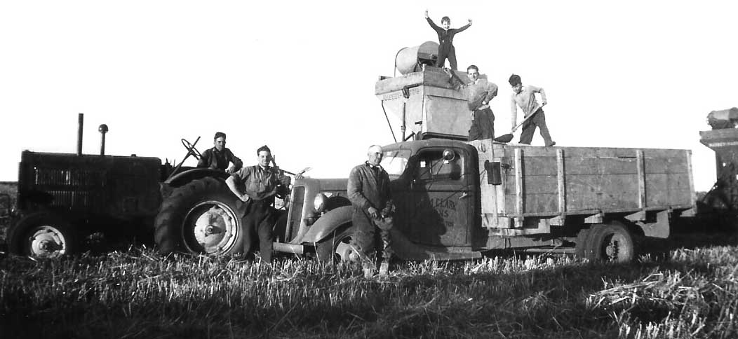 harvesting grain on clark hill 1945