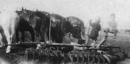 Clarks farmed by horse team